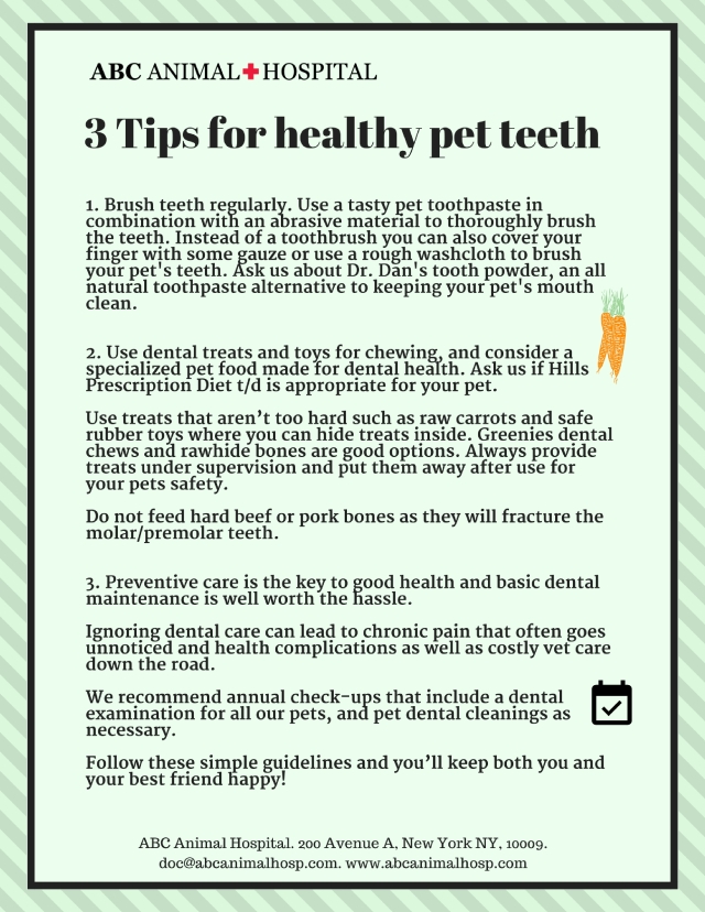 1. Brush teeth regularly. Use a tasty pet toothpaste in combination with an abrasive material to thoroughly brush the teeth. Instead of a toothbrush you can also cover your finger with s